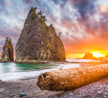 Olympic National Park